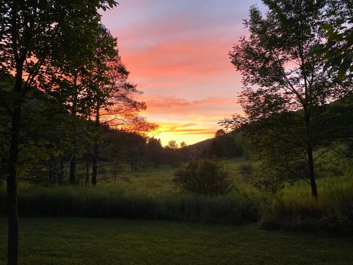 Maples Retreat - 2 Acres - Fireplace Ellicottville Esterno foto